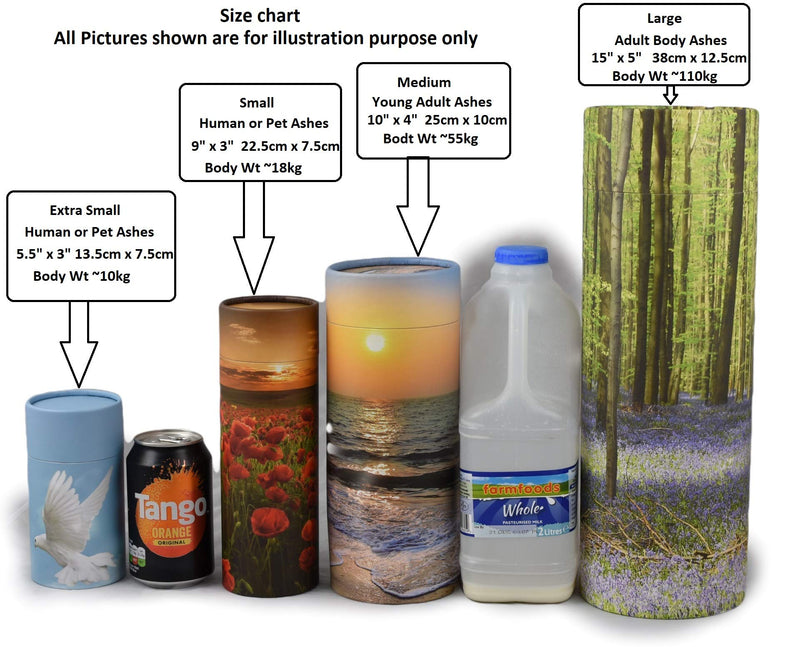 Scattering Ashes Urn, Scatter Tube, Eco-friendly Biodegradable Cremation Urn (Poppy Sunset) (Large) - PawsPlanet Australia