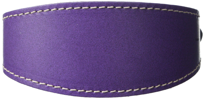 BBD Pet Products Whippet Collar, One Size, 3/4 x 10 to 12-Inch, Purple - PawsPlanet Australia