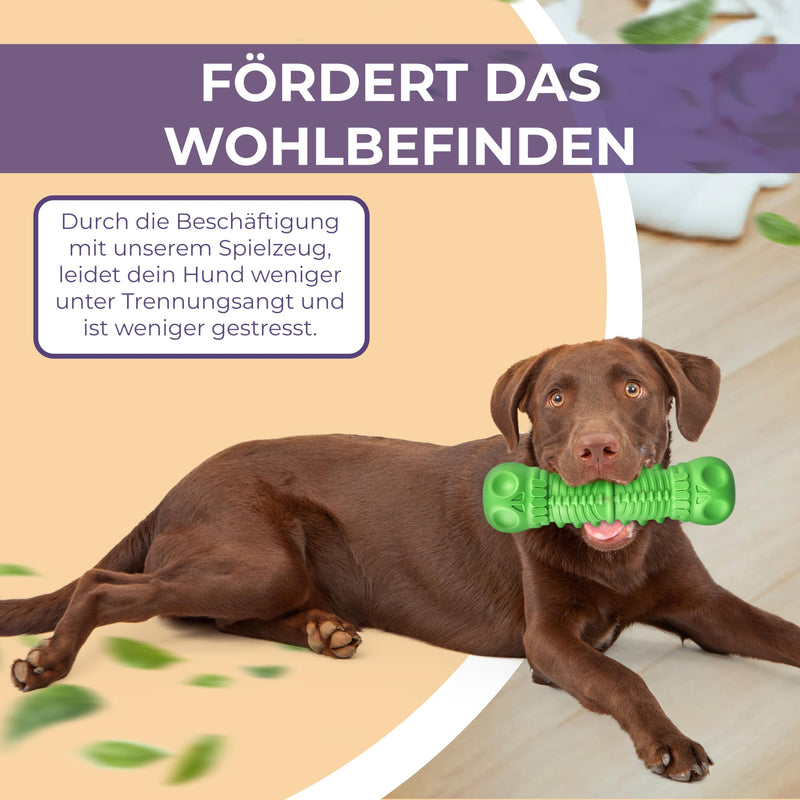 SAMNIS® - dog chew toy - green - particularly robust premium natural rubber - indestructible dog toy with normal chewing - squeaky dog toy for medium & large dogs - PawsPlanet Australia