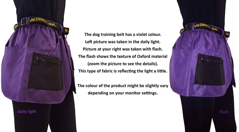 Dingo Training Belt for Agility Sports Dog Training, Many Pockets Violet Vibes M 16457, Purple - PawsPlanet Australia