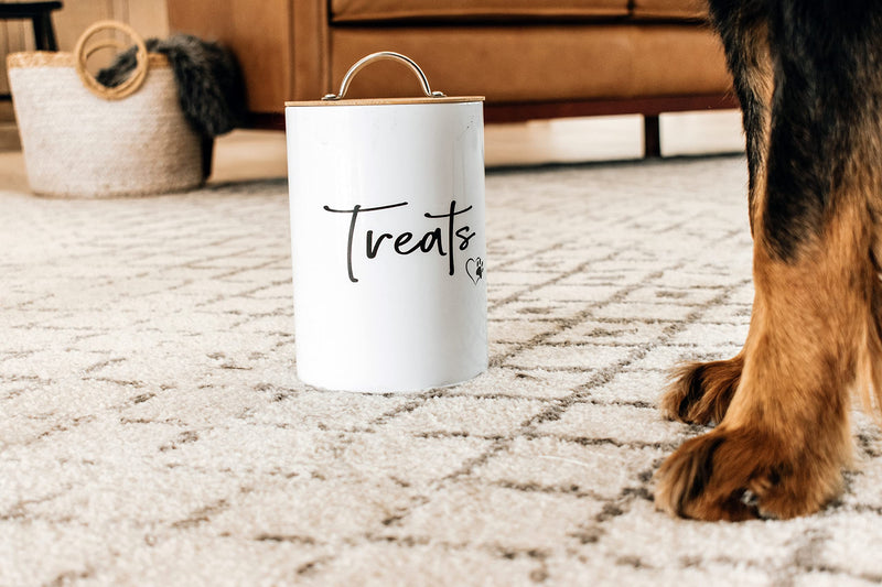 Simply Unleashed Dog and Cat Treat Container with Airtight Bamboo Lid - White, Stylish Pet Treat Jar - Durable Dog Biscuit Cookie Canister - Great Gift for Pet Owners - PawsPlanet Australia