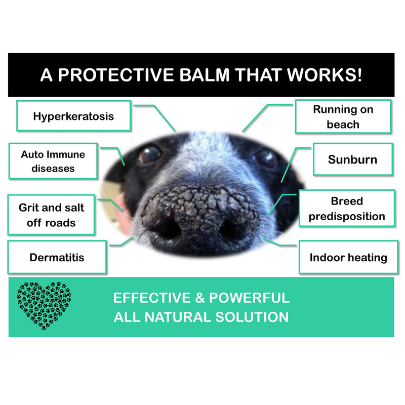 Holistic Hound Snout & Paw Balm - 100% Natural Paw Butter & Snout Soother for Dogs - Easily Apply Nourishing, Healing & Soothing Paw and Nose Balm for Dry Nose and Chapped or Cracked Skin - 30ml - PawsPlanet Australia