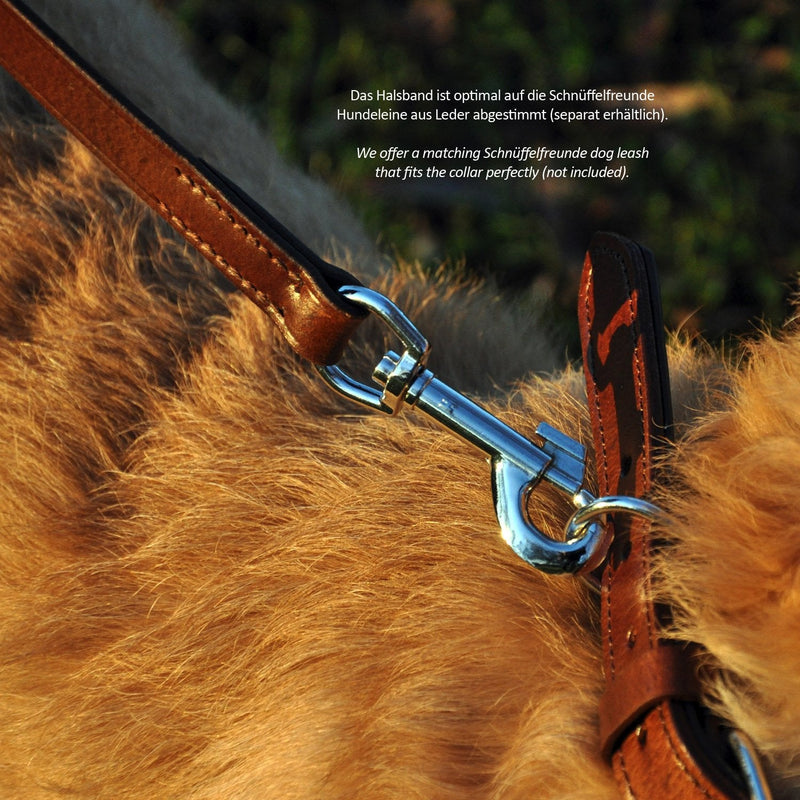 Schnüffelfreunde collar for dogs made of leather, dog collar for large, medium and small dogs, padded leather collar, robust (XL - 46-55cm, brown) XL - 46-55cm - PawsPlanet Australia