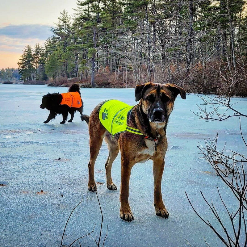 Orange Dog Safety Reflective lightweight vest 6 Sizes - Snap Lock Side Release Buckles and adjustable straps, High Visibility for Outdoor Activity Day and Night - XXS Orange XX-Small - PawsPlanet Australia