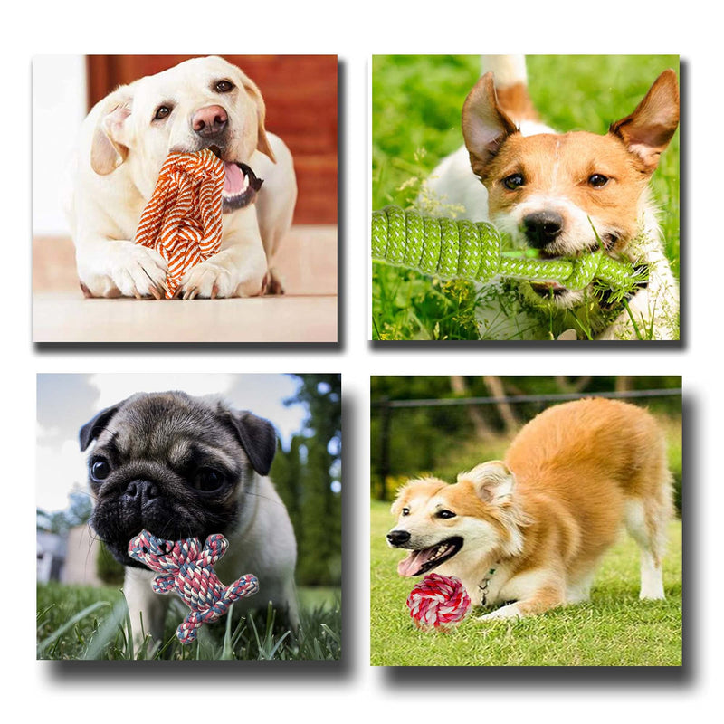 VIROSA Dog Rope Toys | Pack of 10 | Chew Toys For Puppy | Interactive Toys For Dogs | Cotton Rope Toys For Dogs | Cotton Toys For Puppy | Ideal for Small/Medium/Large Dogs - PawsPlanet Australia