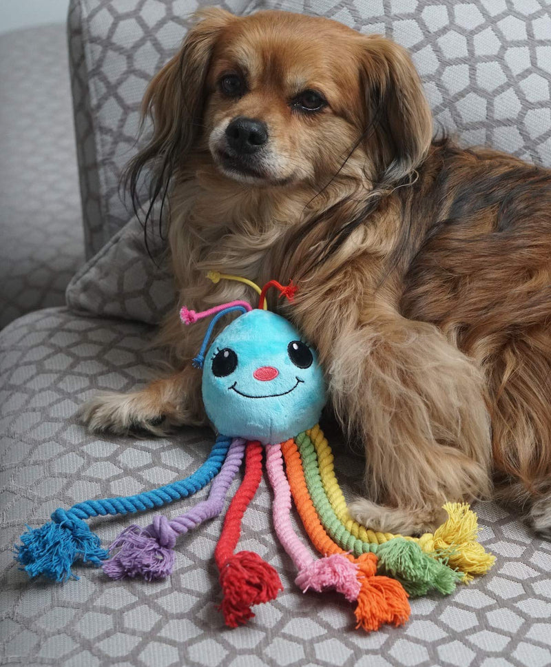 Pet London Rainbow Octopus Puppy Teething Rope Chewing Toy 12" - Soft Plush Puppy with Squeaker Inside - 7 Dangling Multicolour Rope Legs - Great Tug Training Teething Toy With Flossing Action - PawsPlanet Australia