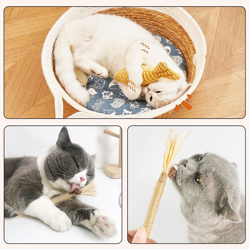 MarverFace Catnip Toys Pack of 6, 21CM Catnip Toys Fish Shape, 3 Matatabi Catnip Sticks, Cat Toys for Cats Playing and Chewing - PawsPlanet Australia