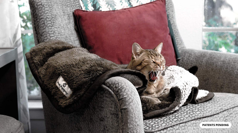 Pet Parents Pawtect Blanket, Premium Waterproof Cat & Dog Blanket with WickQuick & Sherpup Technology, Superb Puppy Blanket, Waterproof Dog Blanket, Blankets for Dogs, Cat Blanket & Pet Blanket 24"x32" Chocolate - PawsPlanet Australia