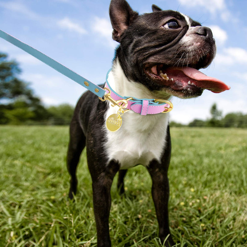 keezeg Small Dog Leash, 2-Layers Thick Genuine Leather Leash for Small Medium Large Dogs Puppy with Comfortable Padded Handle, 4ft Walking or Training Leash for Large Dogs, Blue & Pink 4 ft, 0.6" Wide - PawsPlanet Australia