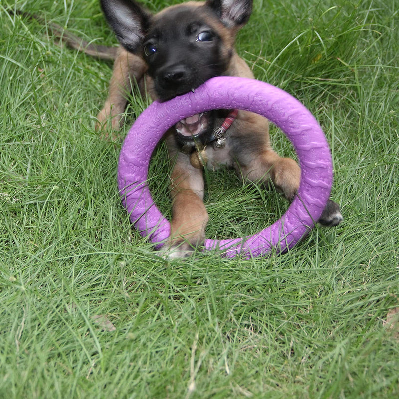 Dog Fitness Ring Dog Bite Ring Dog Training Ring,Pet Dog Outdoor Game Agility Exercise Training Equipment,Tug of War Interactive Training Ring for Small Medium Large Dogs (Purple/Trumpet Ring) Purple Trumpet Ring(Small Dog& Cat) - PawsPlanet Australia