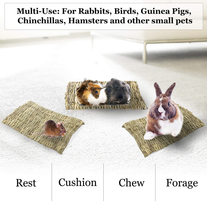 [Australia] - SunGrow Seagrass Rabbit Mat, 12x12 Inches, Edible, Handmade, Hay Mat for Sleeping, Chewing, Nesting, Great Boredom Buster, Rabbit Teeth Trimmer, Nutritious Snack 3-Pack 