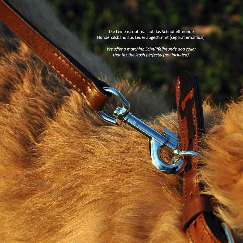 Schnüffelfreunde dog leash made of leather - training leash - leather leash for the dog - leash 3-way adjustable, for all dogs (230cm, red) 230cm - PawsPlanet Australia