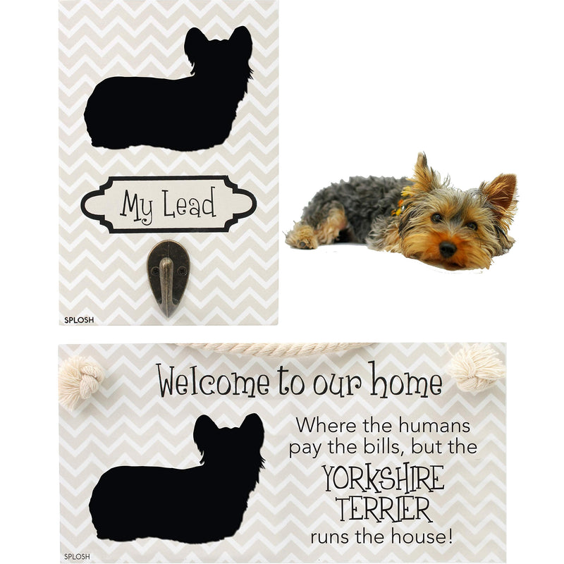 Splosh Precious Pet Dog Plaque and Dog Lead Hook Pack, Yorkshire Terrier. The funny signs are a personalised mini addition to any dog lovers home, and a welcomed accessory for all dogs. - PawsPlanet Australia