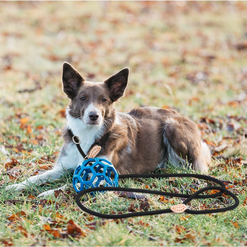 KYSUN 1.5 m dog leash, black, strong dog training leash, adjustable lead for dogs, adjustable retriever leash, non-slip dog leash, training leash for small, medium, large dogs - PawsPlanet Australia