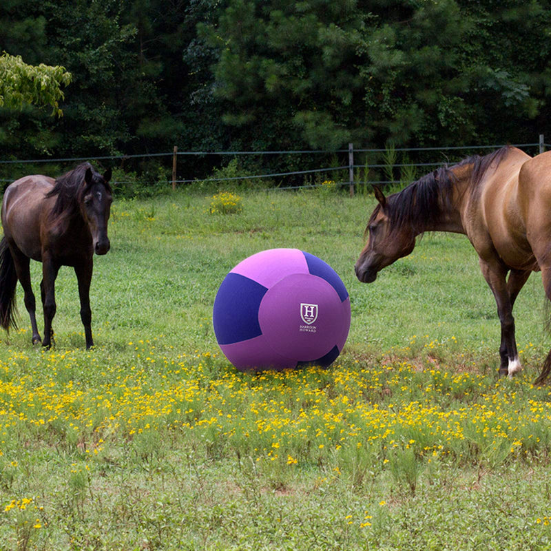 Harrison Howard Howdy Bally Horse Mega Ball Cover for Equine 25-Inch Purple/Navy Fits 25" Mega Ball - PawsPlanet Australia