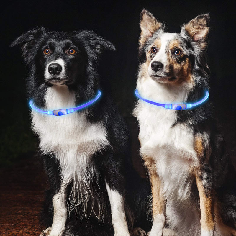 LED Dog Collar Glow Light Collar for Dogs Bright USB Rechargeable Pet Collar Light Cuttable to Fit Most Pets Increase Visibility and Safety for Pets Night Walking (Blue) - PawsPlanet Australia