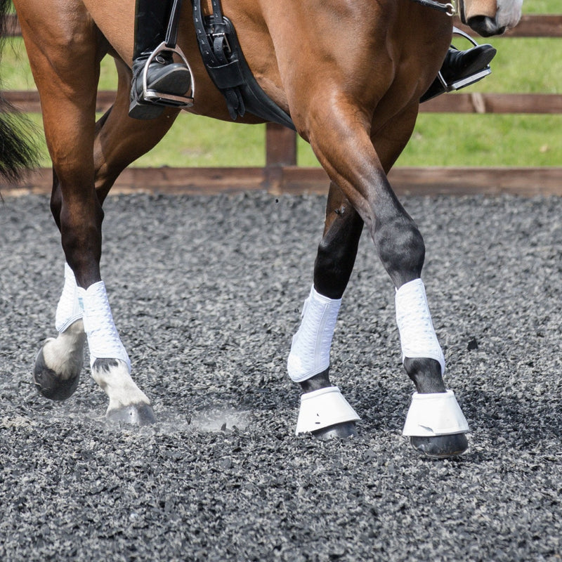 equilibrium Stretch & Flex Flatwork Wraps White XS - PawsPlanet Australia