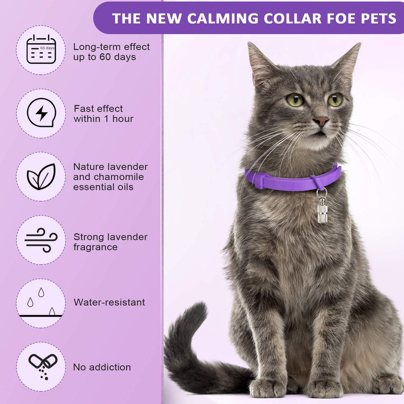 Weewooday 5 Set Calming Collar for Cats Adjustable Waterproof Cat Calming Collars Reduce Anxiety Stress Cat Collars with 5 Pet ID Pendants (Purple) - PawsPlanet Australia