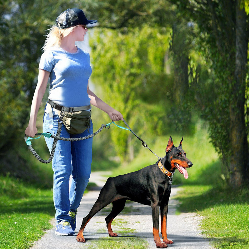 [Australia] - SHINE HAI Retractable Hands Free Dog Leash with Dual Bungees for Dogs up to 150lbs, Adjustable Waist Belt, Reflective Stitching Leash for Running Walking Hiking Jogging Biking Basic 