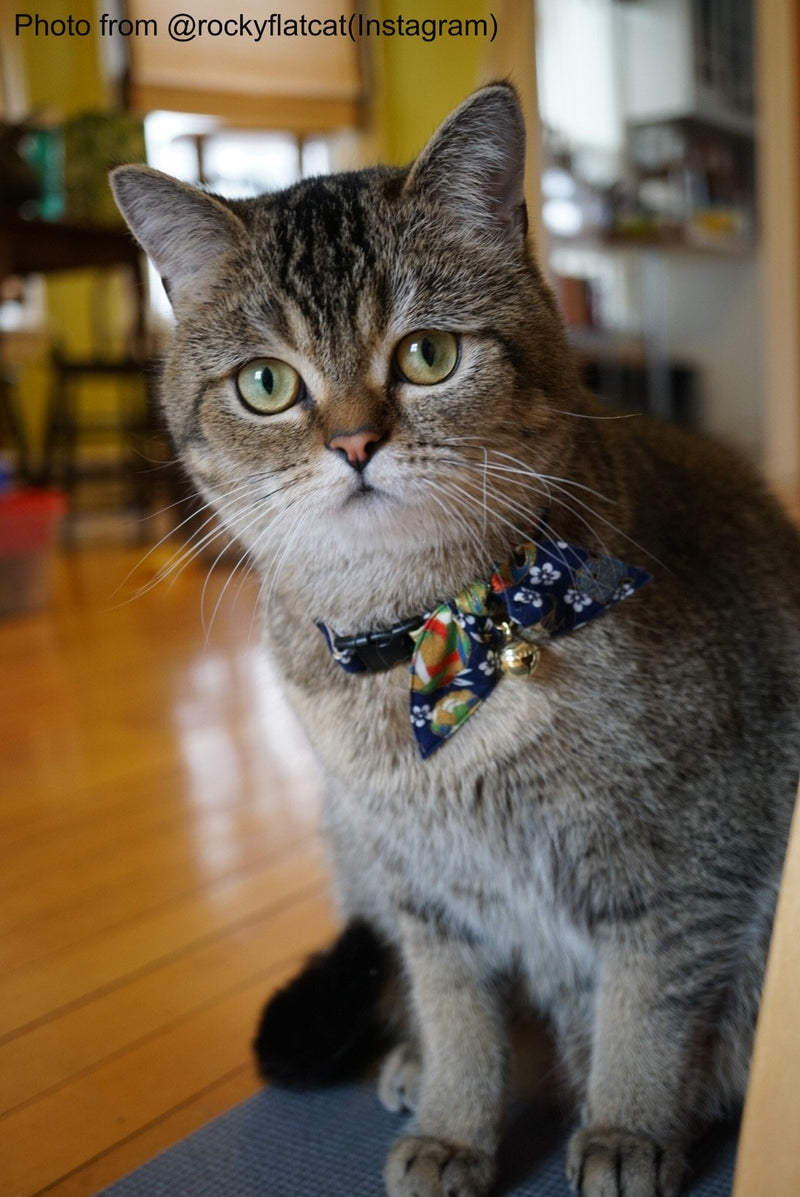 NECO ICHI CATS FIRST Necoichi Kimono Ribbon Cat Collar Blue - PawsPlanet Australia