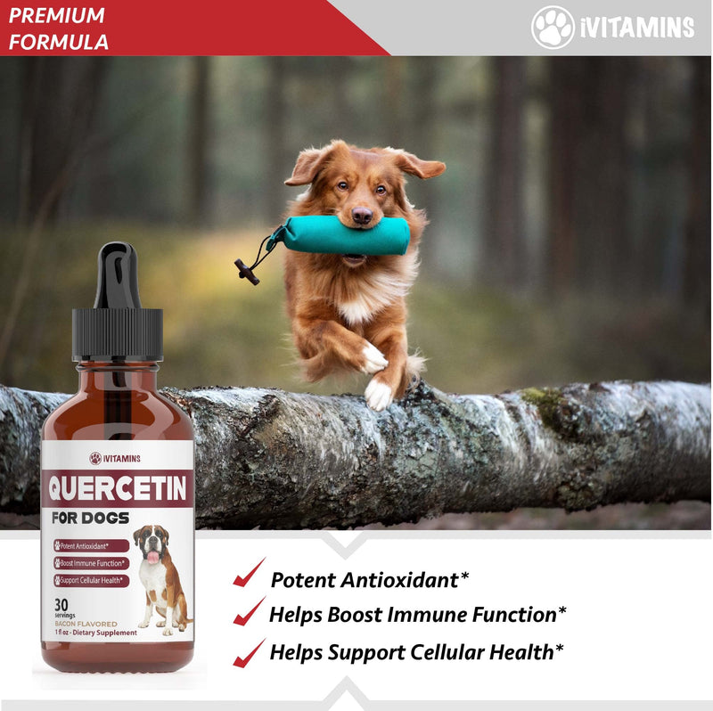 Quercetin for Dogs | Dog Allergy Relief | Quercetin for Dogs Allergies | Dog Allergy | Quercetin | Dog Allergy Support | Quercetin Dog | Dog Allergies | Quercetin Supplements | 1oz: Bacon Flavor - PawsPlanet Australia