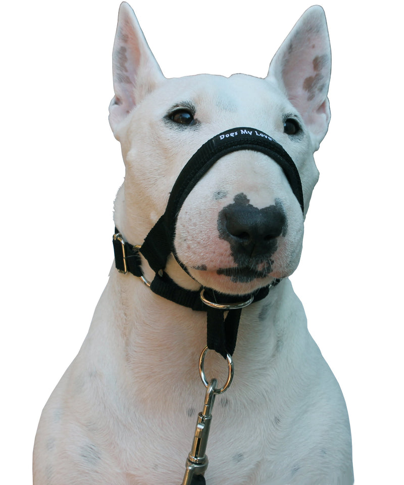 [Australia] - Dog Head Collar Halter Black 6 Sizes M: 8.25"-10.25" Snout 