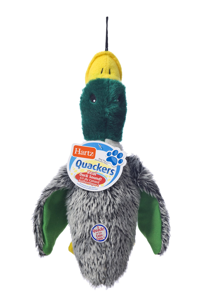 Hartz Nature's Collection Quackers Plush Duck Dog Toy Large - PawsPlanet Australia