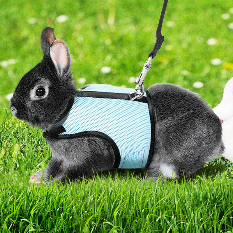 UEETEK Soft Harness with Lead for Rabbits Bunny Elastic  Size L (Sky Blue) - PawsPlanet Australia