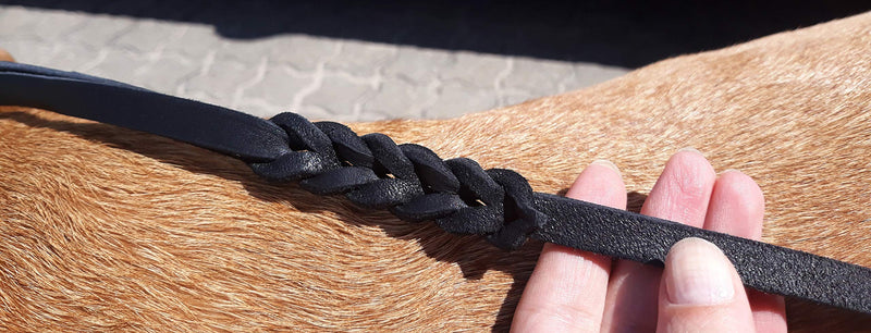 Dingo Soft Leather Show Lead With Braided Handle, Handmade, Dog Exhibition Leash, Black 10783 NEW VERSION - PawsPlanet Australia