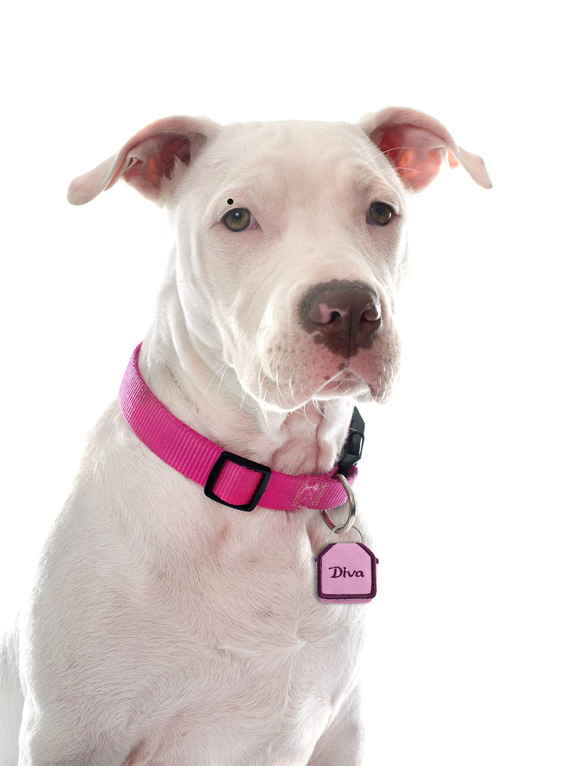 [Australia] - The Tag Bag - Dog Tag Silencer Pink/Diva 