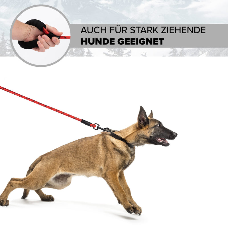 District North Reflective Dog Lead - 150cm Long Training Lead for Dogs - Comfortable Padded Lead Dog Leash - Class Dog Leads for Large Dogs (150cm, Red) 150cm - PawsPlanet Australia