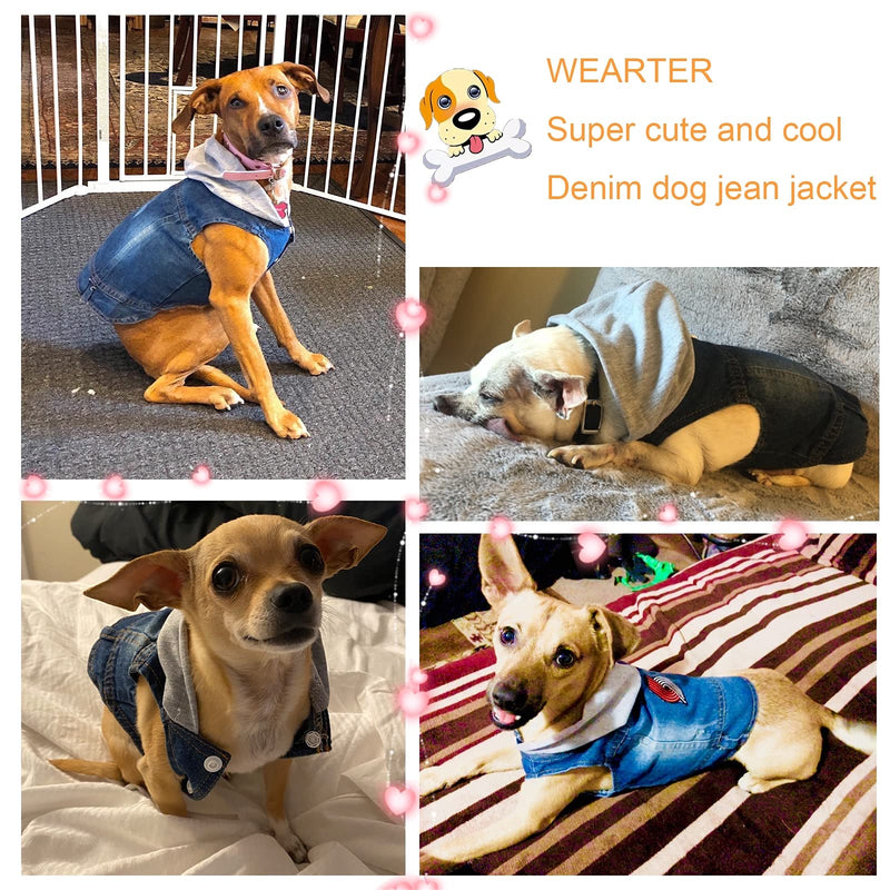 WEARTER Denim Dog Jean Jacket, Stylish Pet Coat, Puppy Clothes Dog Hoodie Jumpsuit for Small Medium Dogs X-Small - PawsPlanet Australia