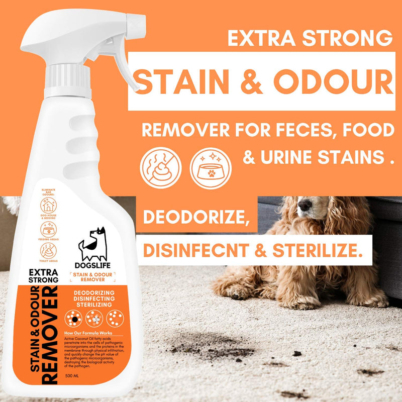 Dog Odour & Stain Remover | 2-IN-1 Urine Stain & Smell Eliminator | Deodorise, Disinfect & Sterilise | Multi Surface Stain and Odour Eliminator For Dogs | Natural Enzymatic Stain Remover - PawsPlanet Australia