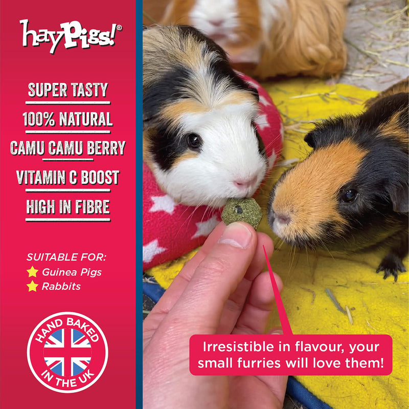 HayPigs Piggy Nom Noms 10 x 70g Blueberry and Basil Natural Guinea Pig Treats with Guinea Pig Vitamin C - Also Perfect for Rabbit Treats 10 x Blueberry & Basil - PawsPlanet Australia