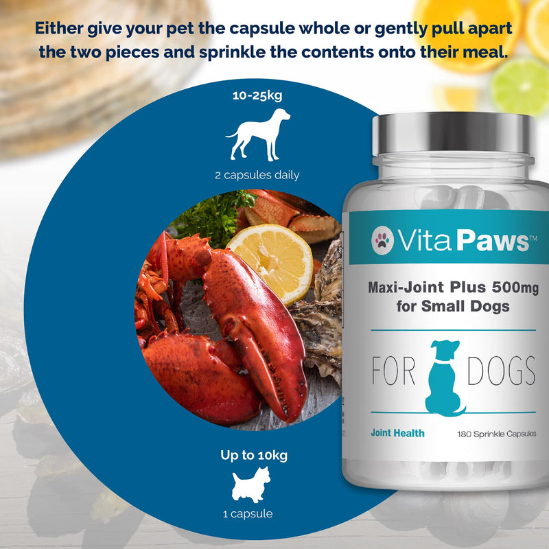 Glucosamine for Dogs | Maxi-Joint Plus for Small Dogs | Manufactured in The UK - PawsPlanet Australia