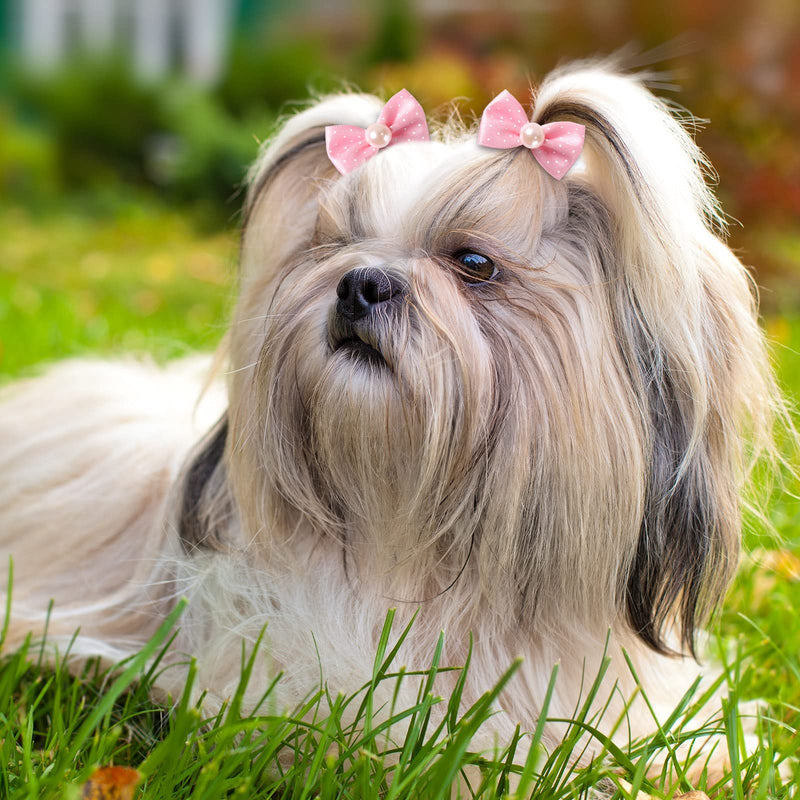 40 Pieces Dog Bows Cute Puppy Dog Bowknot Hair Bows Handmade Hair Accessories Bow with Rubber Bands Lace Organza Puppy Bows Rhinestone Pearls Dog Hair Ties Multicolor Dog Hair Grooming Accessories - PawsPlanet Australia
