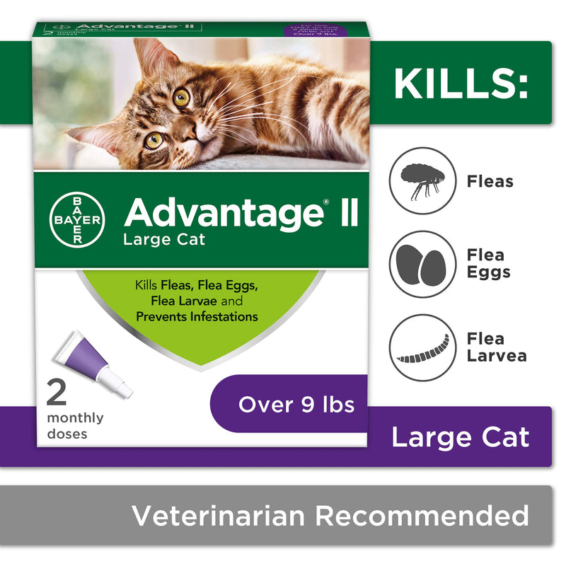 [Australia] - Advantage II 2-Dose Flea Prevention and Treatment for Large Cats, Over 9 Pounds 