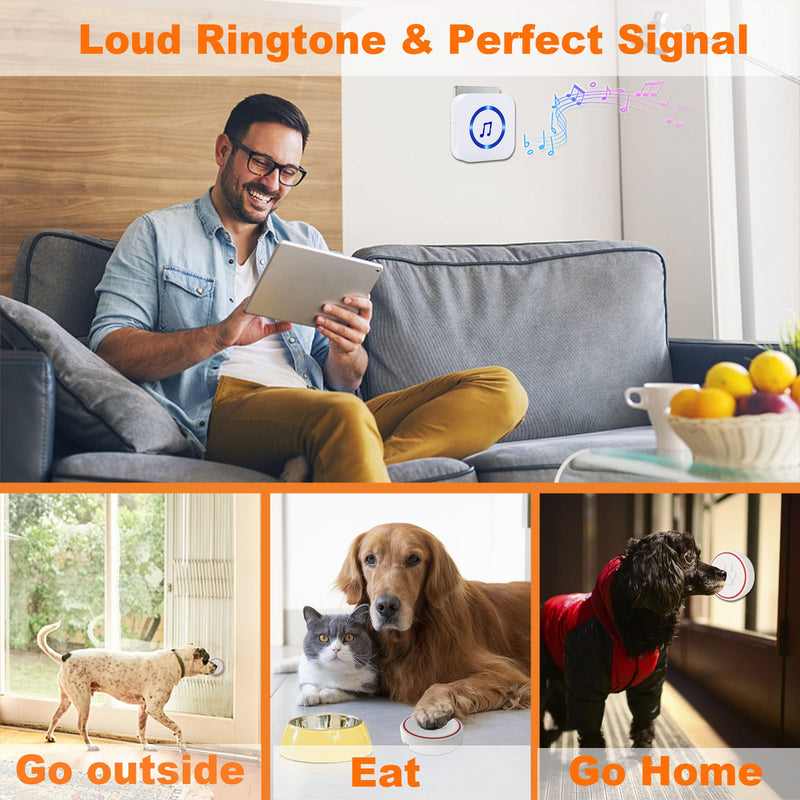 ChunHee Dog Doorbells for Potty Training-Wireless Dog Door Bell for Dog Puppy Training Sliding Door/Go Outside Doorbell and Waterproof Touch Button 1 Receiver+ 3 Buttons - PawsPlanet Australia