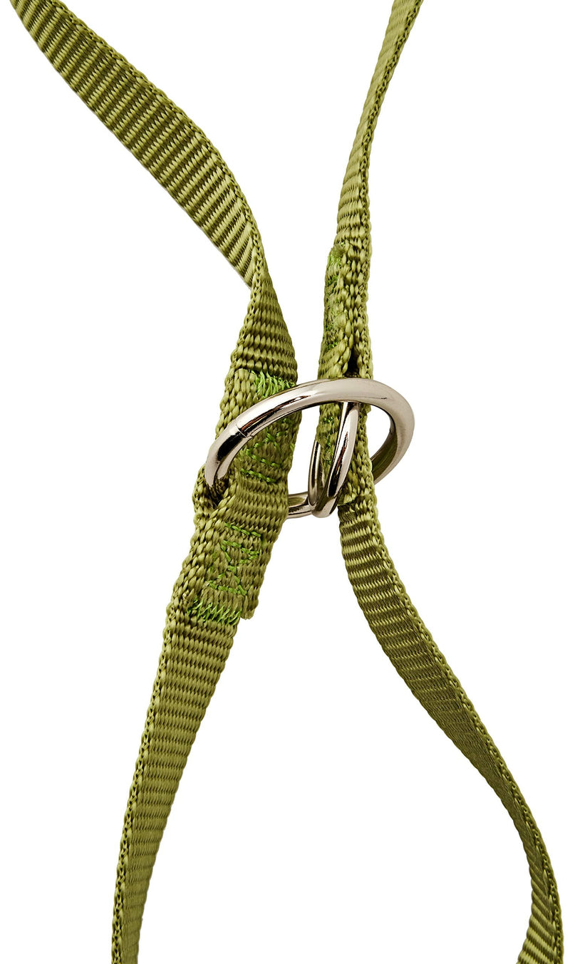 Nobby Classic leash, lime green L: 200 cm, W: 15 mm, 1 piece width 15 mm - PawsPlanet Australia