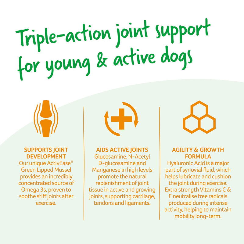 Lintbells | YuMOVE Young and Active Dog | Hip and Joint Supplement for Dogs to Support Active and Growing Joints for Dogs Aged Under 6 | 60 Tablets - PawsPlanet Australia