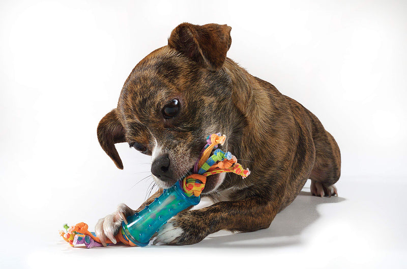 Petstages Dental and Teething Dog Chew Toys Dental Chew 3 Pk - PawsPlanet Australia