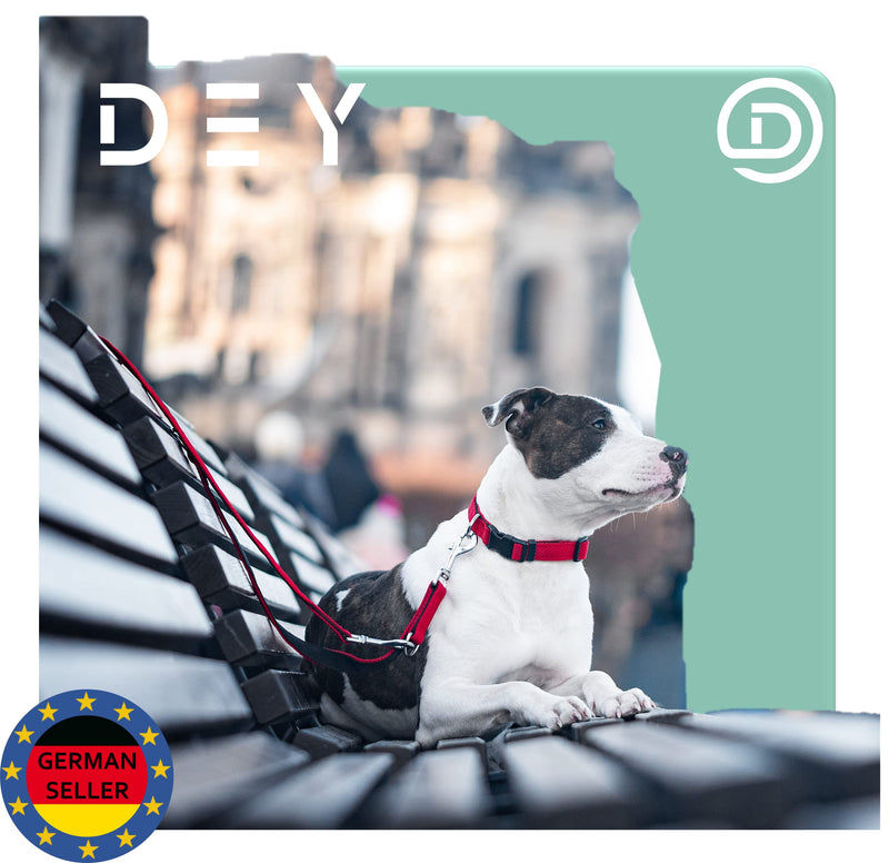 DEY - Premium dog leash air mesh, 2 m, 3-way adjustable, for small, medium and large dogs, many colors, double leash dog cat puppy, towing leash, lead leash, puppy leash, red, S [S/M] - 2.0 x 200cm - PawsPlanet Australia