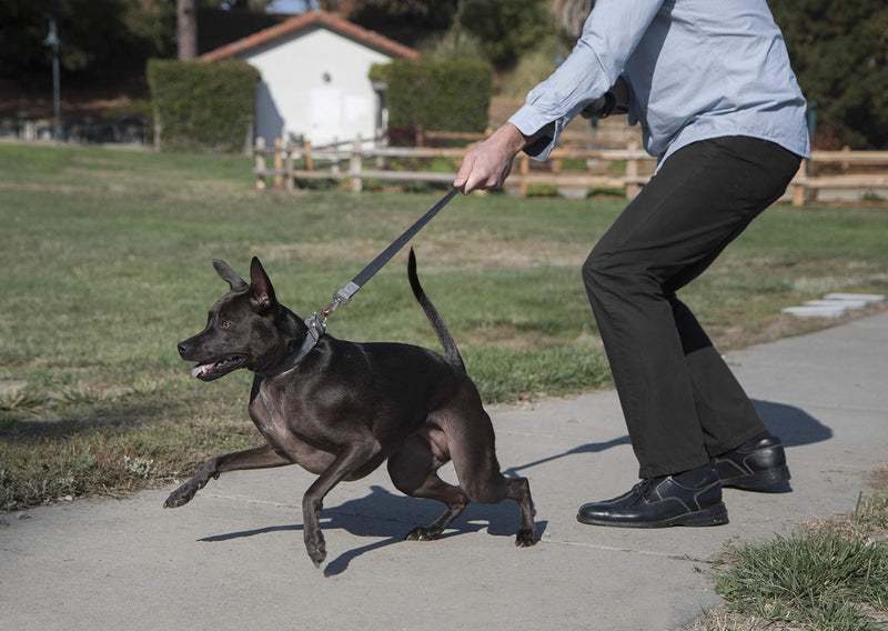 [Australia] - Sherpa Travel Dog Collars Harnesses and Leashes one size no pull lead 