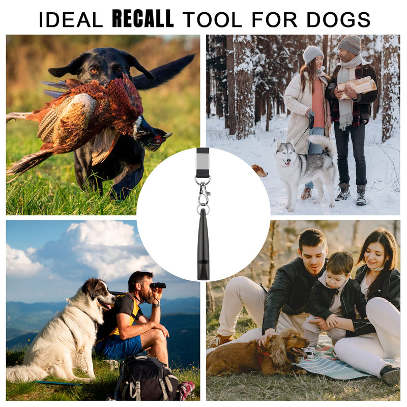 TDL Gun Dog Whistle with Lanyard - Used for Recall & Dog Training - Long Distance - Good Frequency for Most Breeds - Consistent - PawsPlanet Australia