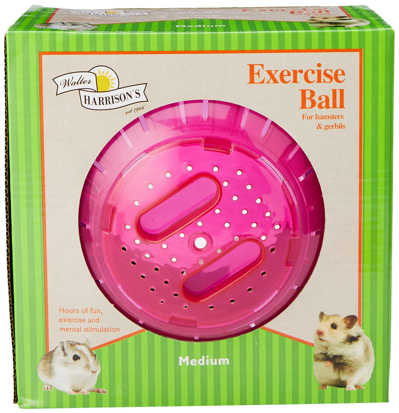 Walter Harrison's Small Animal Plastic Running Exercise Ball For Hamsters and Gerbils - Medium - 18 cm - PawsPlanet Australia