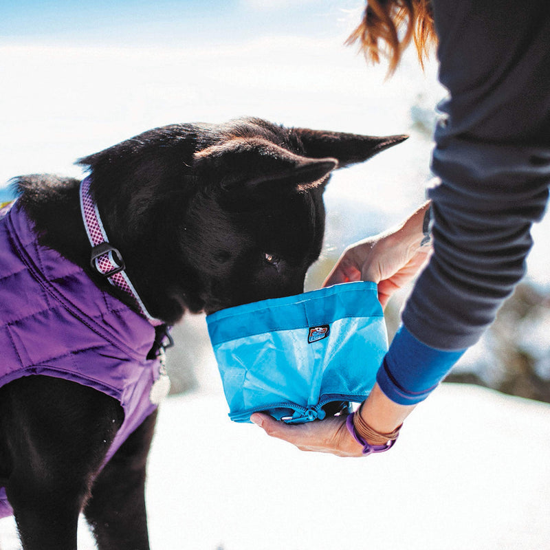 Kurgo Zippy Bowl, Collapsible Travel Dog Bowl for Food and Water with Carabiner, BPA free, Holds 1.4L, Coastal Blue - PawsPlanet Australia