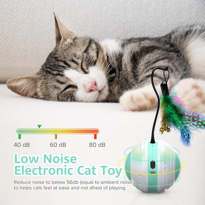 Interactive Cat Toy, Beedove Cat Toys with Bird Sound LED Light 360° Self Rotating Cat Ball USB Charging Smart Automatic Robotic Cat Toy with 4 Replacement Feathers Pet Toys for Indoor Cats Kitten - PawsPlanet Australia