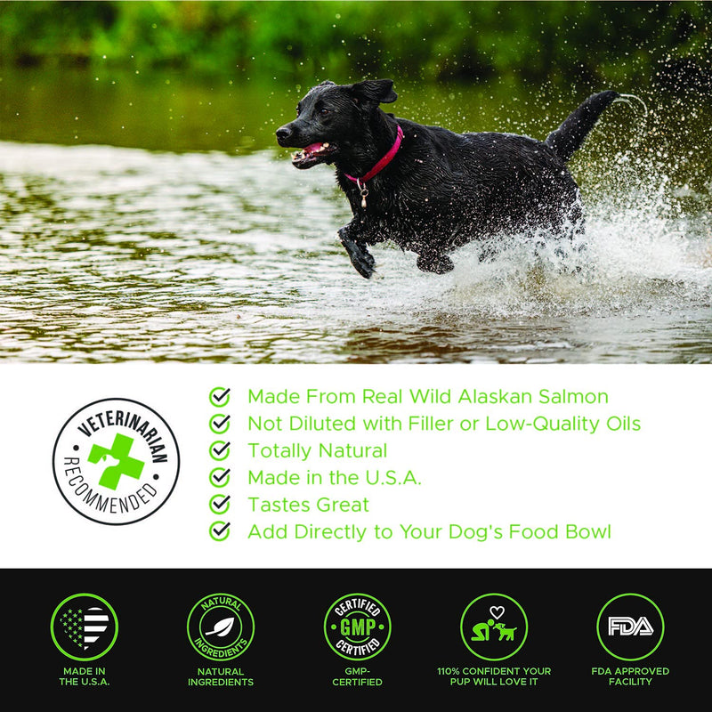 PetHonesty Wild Alaskan Salmon Oil for Dogs - Omega-3 for Dogs - Pet Liquid Food Supplement - EPA + DHA Fatty Acids, May Reduce Shedding & Itching - Supports Joints, Brain & Heart Health Hemp Salmon 16 Fl Oz - PawsPlanet Australia