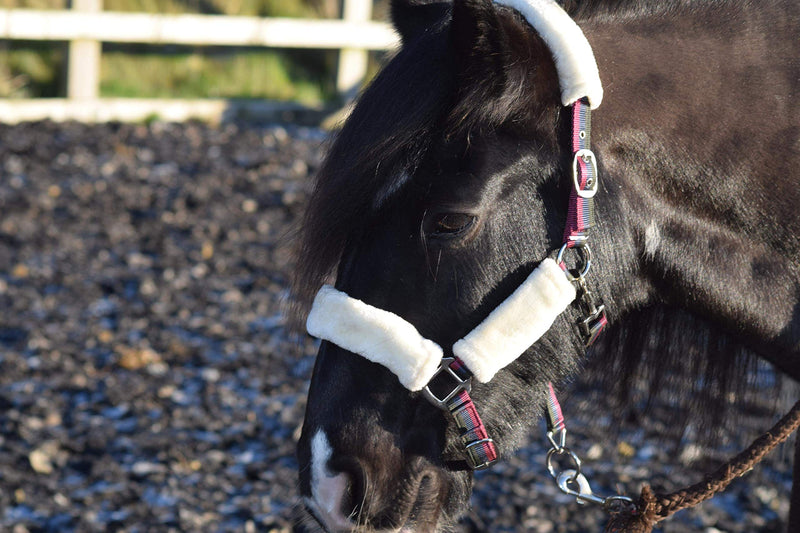 Luxury Padded Horse Headcollar Faux Fur Trim - PawsPlanet Australia