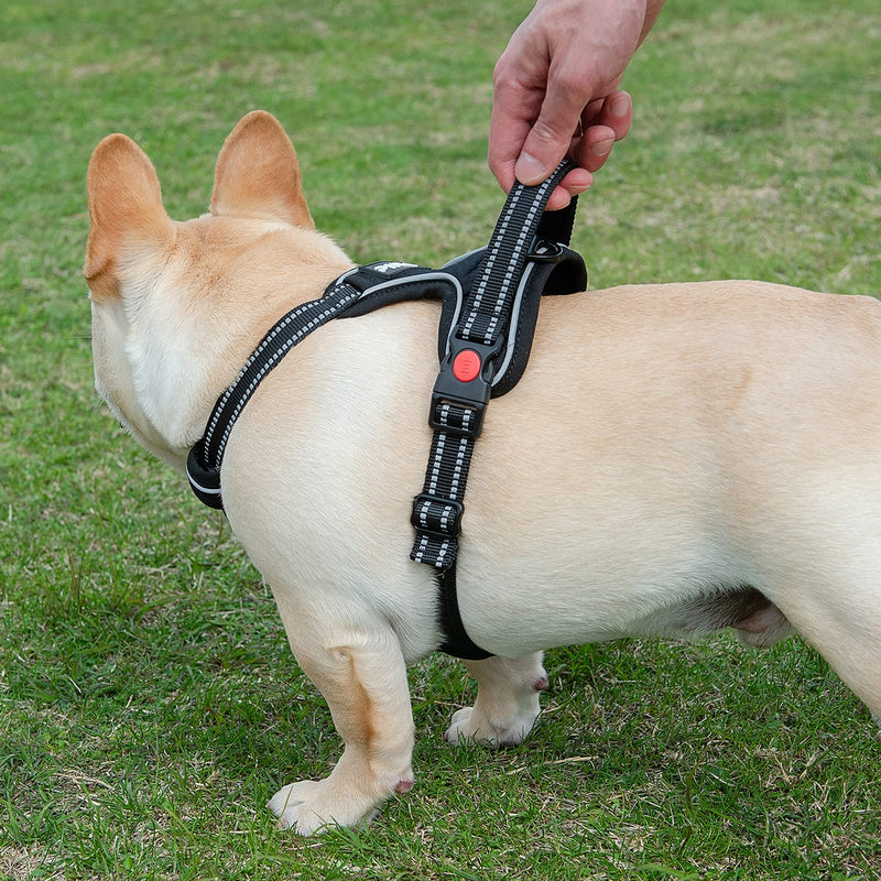 PINA No Pull Dog Harness for Small Medium Dogs, No Choke Dog Vest Harness with Dog Leash, Reflective Adjustable Small Medium Dog Harness with Front/Back Clip & Easy Control Handle - Black / S S(Neck:14-20" ; Chest:14-22") - PawsPlanet Australia